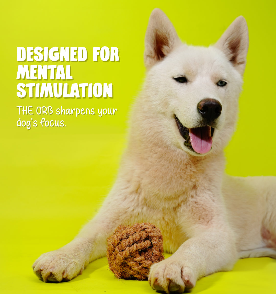 100% Natural Chew Clean Ball for 10X Healthier Teeth