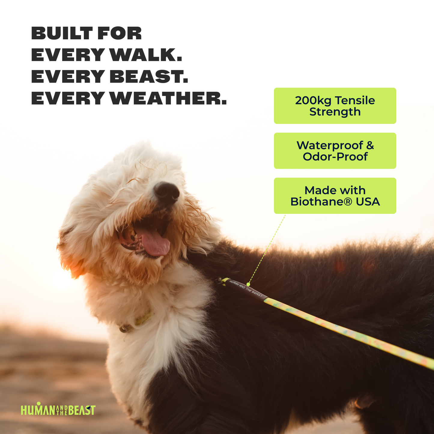 The Super Leash