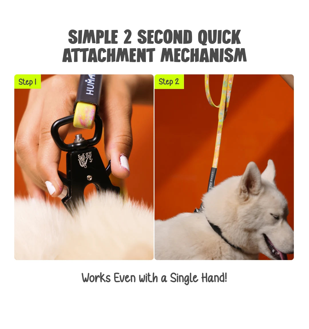 India's First Super Leash Made with Biothane USA Webbing - Safety Yellow